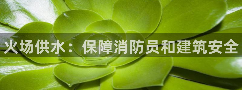 球友会app