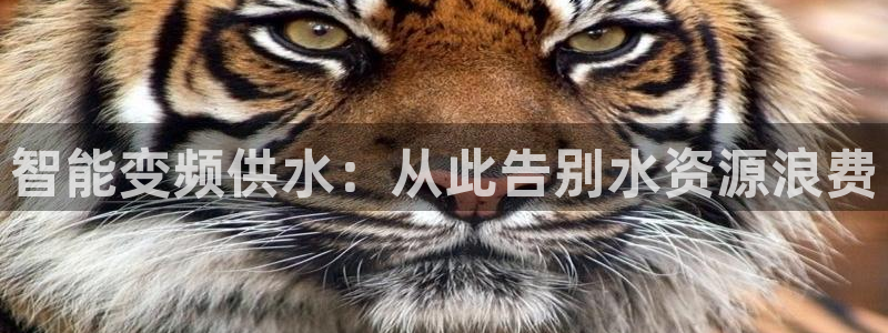 球友会下载安装