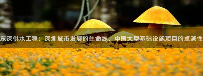 球友会买球打牌绑卡有风险吗?