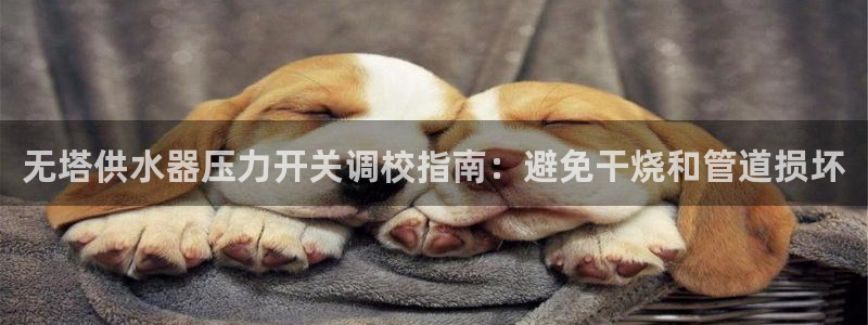 球友会app官网下载安卓