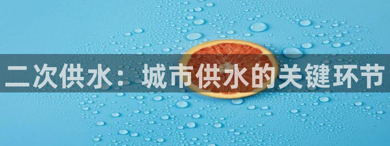 QY球友会