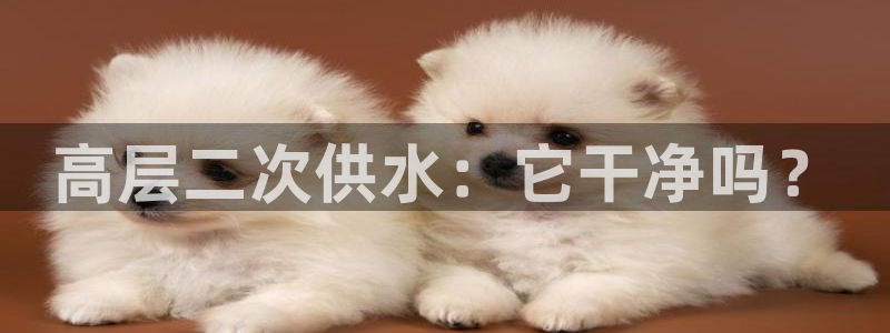 球友会APP