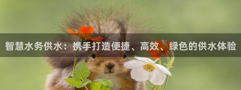 球友会台球俱乐部在哪