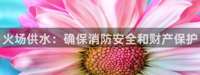 球友会app官网下载苹果