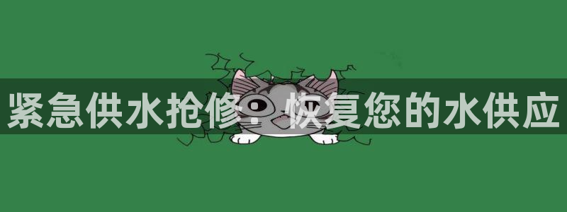 qy球友会体育官下载
