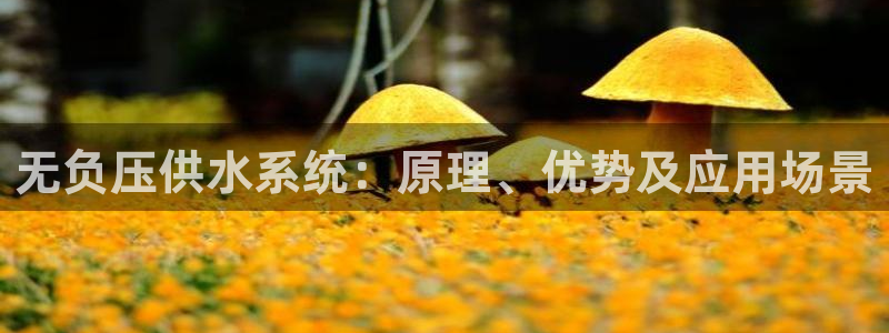 球友会app官方网站下载