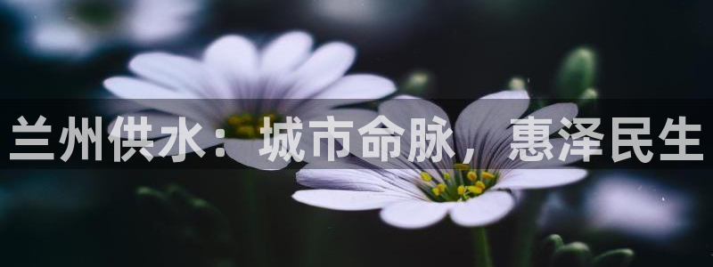 球友会app下载QY