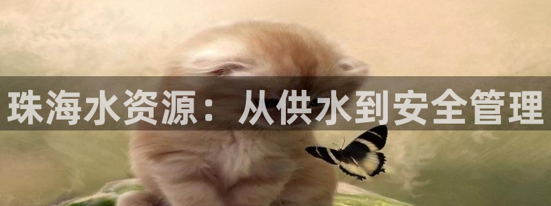 球友会体育app官方版下载安装苹果手机