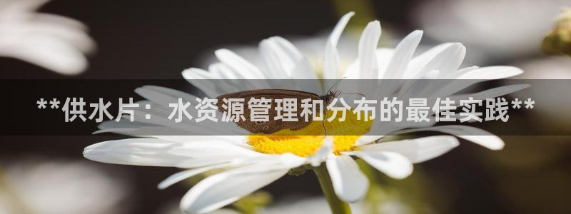 球友会app安全吗可靠吗是真的吗