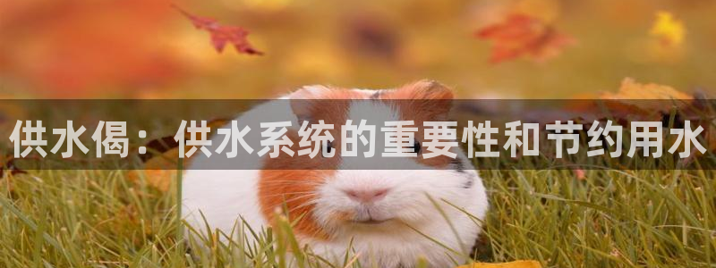 球友会app官方网站