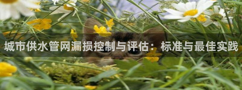 球友会体育app下载