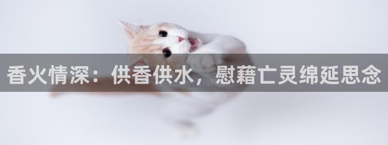 qy球友会体育怎么样