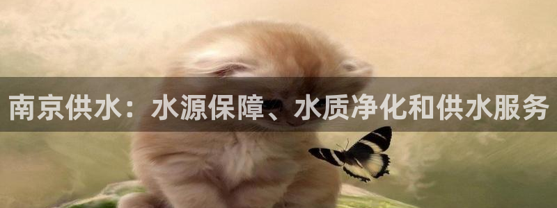 球友会官网登录入口手机版