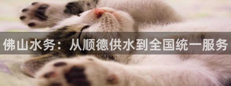 球友会是不是大平台