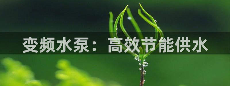 球友会app官方网站