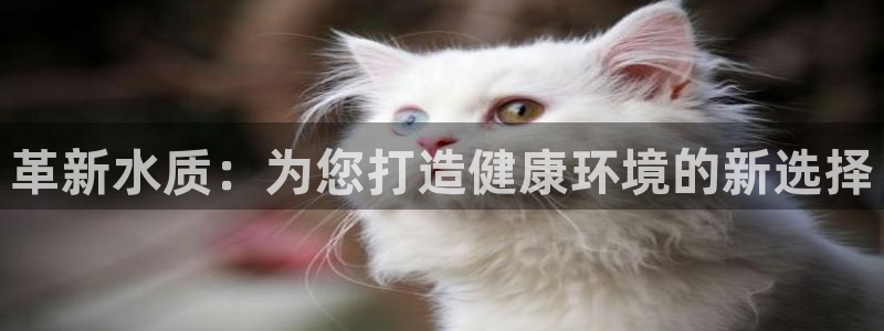 球友会曼联赛事