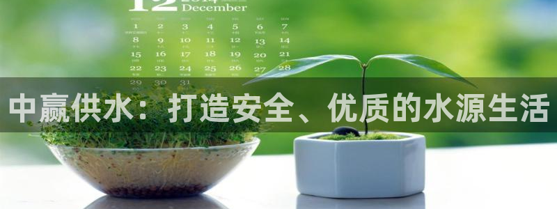 球友会友谊赛赛程