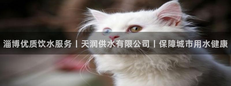 球友会体育app下载