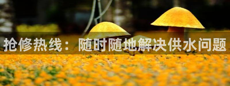 球友会在线登录账号吗知乎