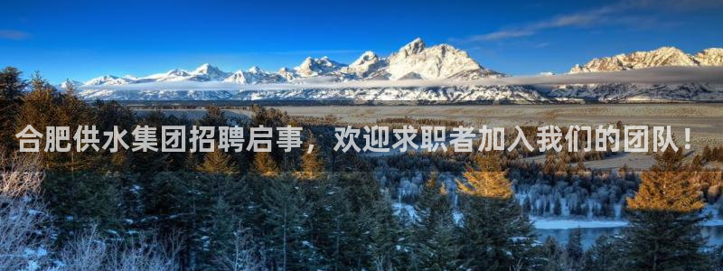 球友会体育app下载安卓版