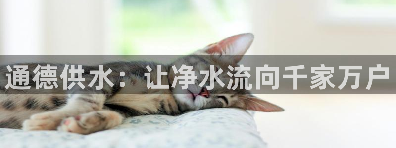 球友会体育app官方版下载安装苹果手机