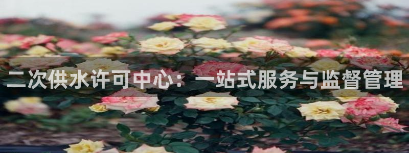 球友会qy怎么进不去