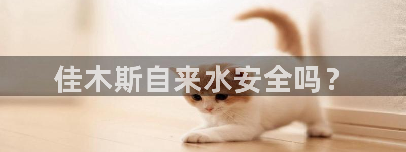 球友会app干啥的