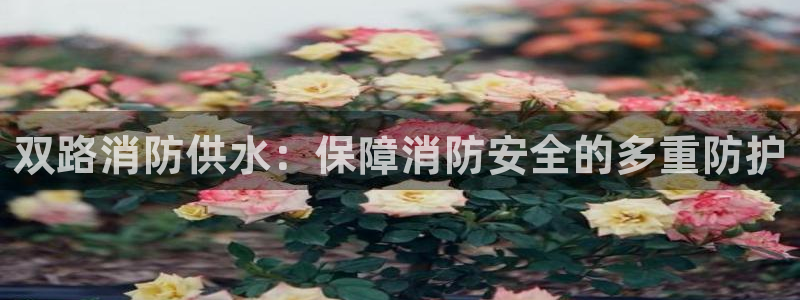 球友会FIFA22比赛是否能随机超控