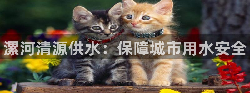 球友会体育app下载安卓最新版